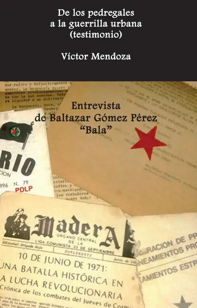 De los pedregales a la guerrilla urbana